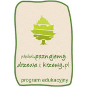 Poznajemy drzewa i krzewy Grafika Poznajemy drzewa i krzewy