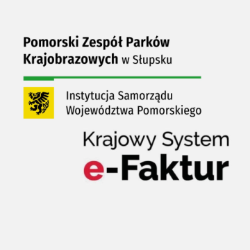 Krajowy System e-Faktur (KSeF) Grafika Krajowy System e-Faktur (KSeF)