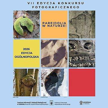 VII edycja konkursu Pareidolia w naturze Grafika VII edycja konkursu Pareidolia w naturze