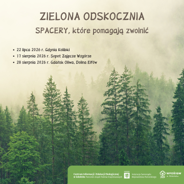Zielona odskocznia! Grafika Zielona odskocznia!